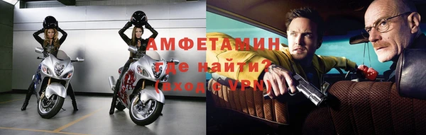хмурый Белокуриха