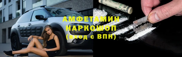 хмурый Белокуриха