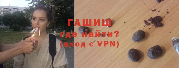 хмурый Белокуриха