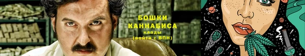 хмурый Белокуриха